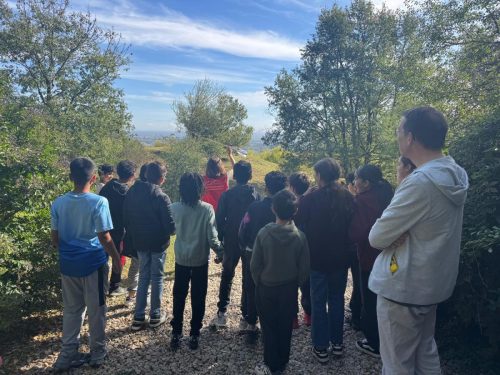 617ec29e-a379-4a62-8913-0bdd83c0104a