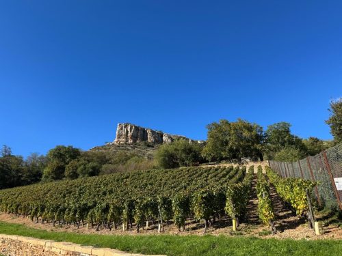 7057a7bb-d9a7-4340-9f55-8eb71adb3ff0