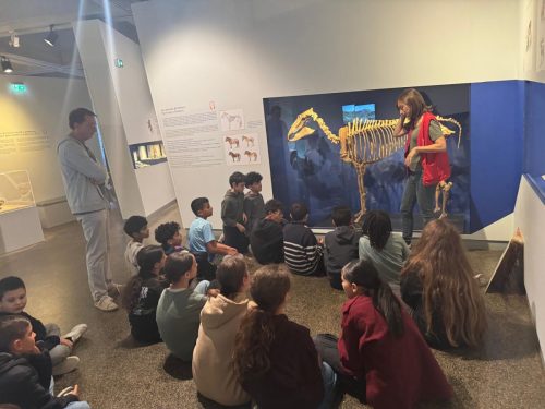 937e8b8d-18b6-4e76-8fab-ea77518b13a4