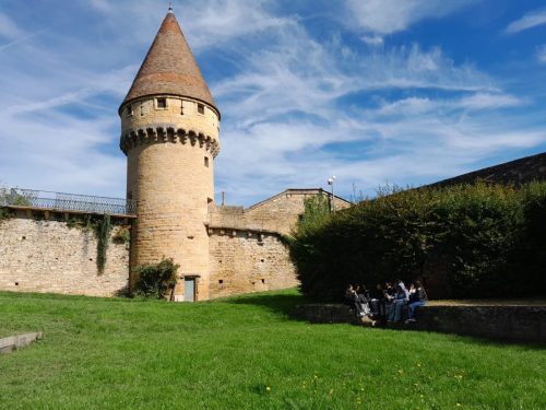 b52bbdfa-16ed-41bf-b8bb-ad49c3fab8e8