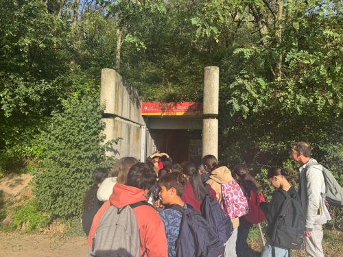 e41bb31b-6541-4426-a5a3-86686ed7ec7e